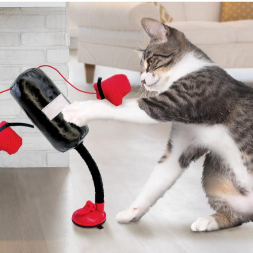 Interactive Cat Boxing Toy with Gloves & Suction Base