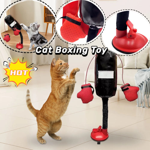 Interactive Cat Boxing Toy with Gloves & Suction Base