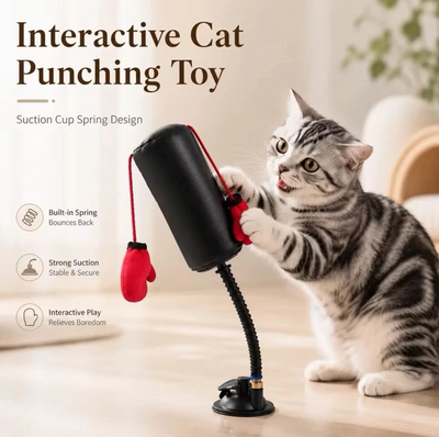 Interactive Cat Boxing Toy with Gloves & Suction Base