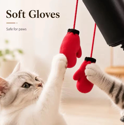 Interactive Cat Boxing Toy with Gloves & Suction Base