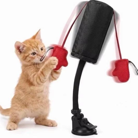 Interactive Cat Boxing Toy with Gloves & Suction Base