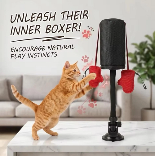 Interactive Cat Boxing Toy with Gloves & Suction Base